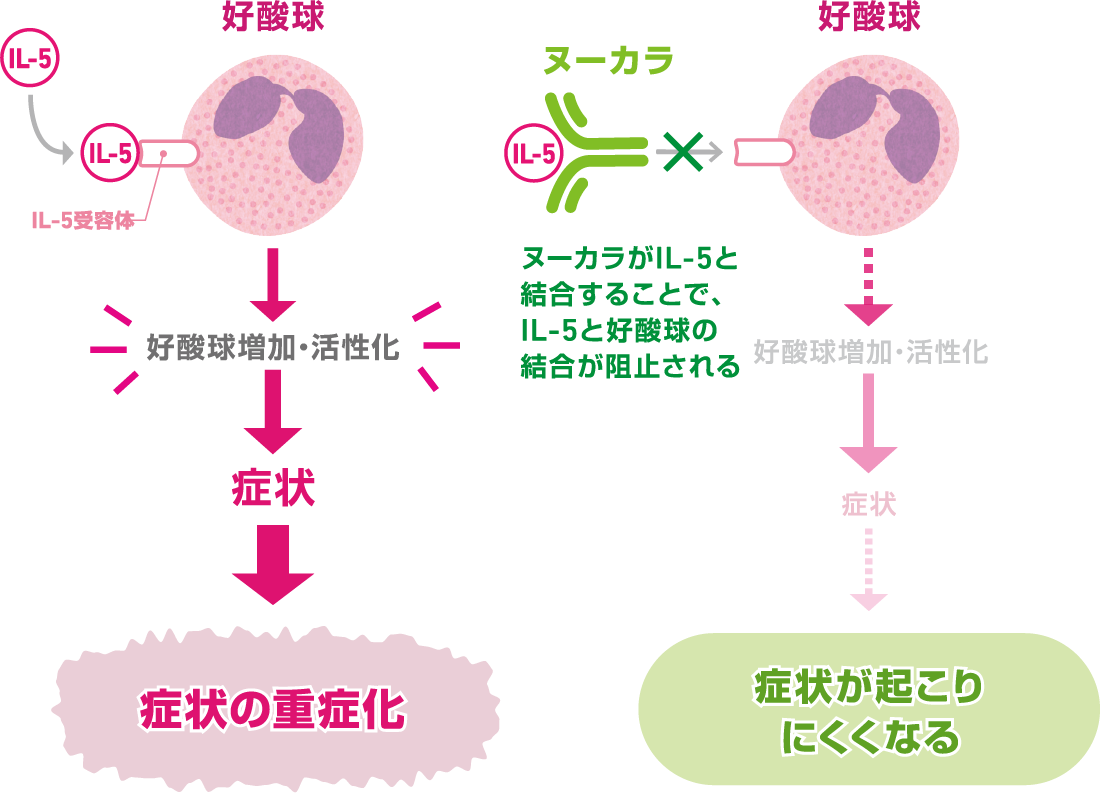 ヌーカラとは