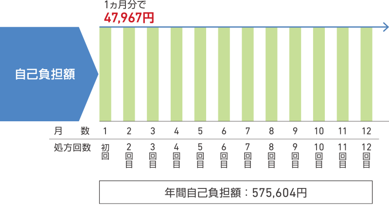 自己負担額一覧