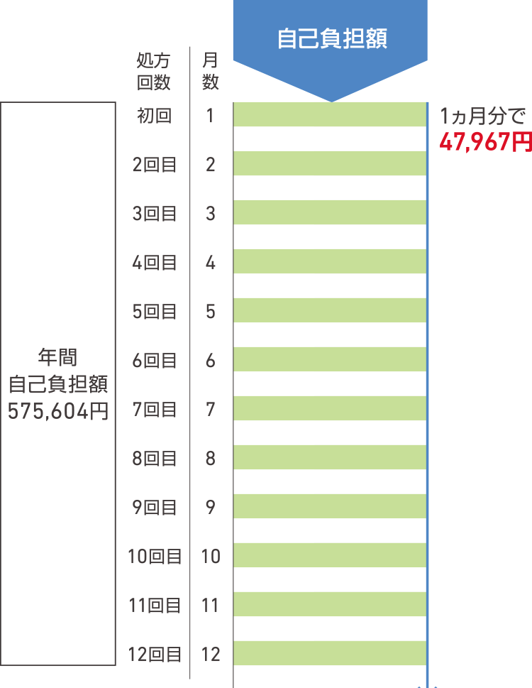 自己負担額一覧